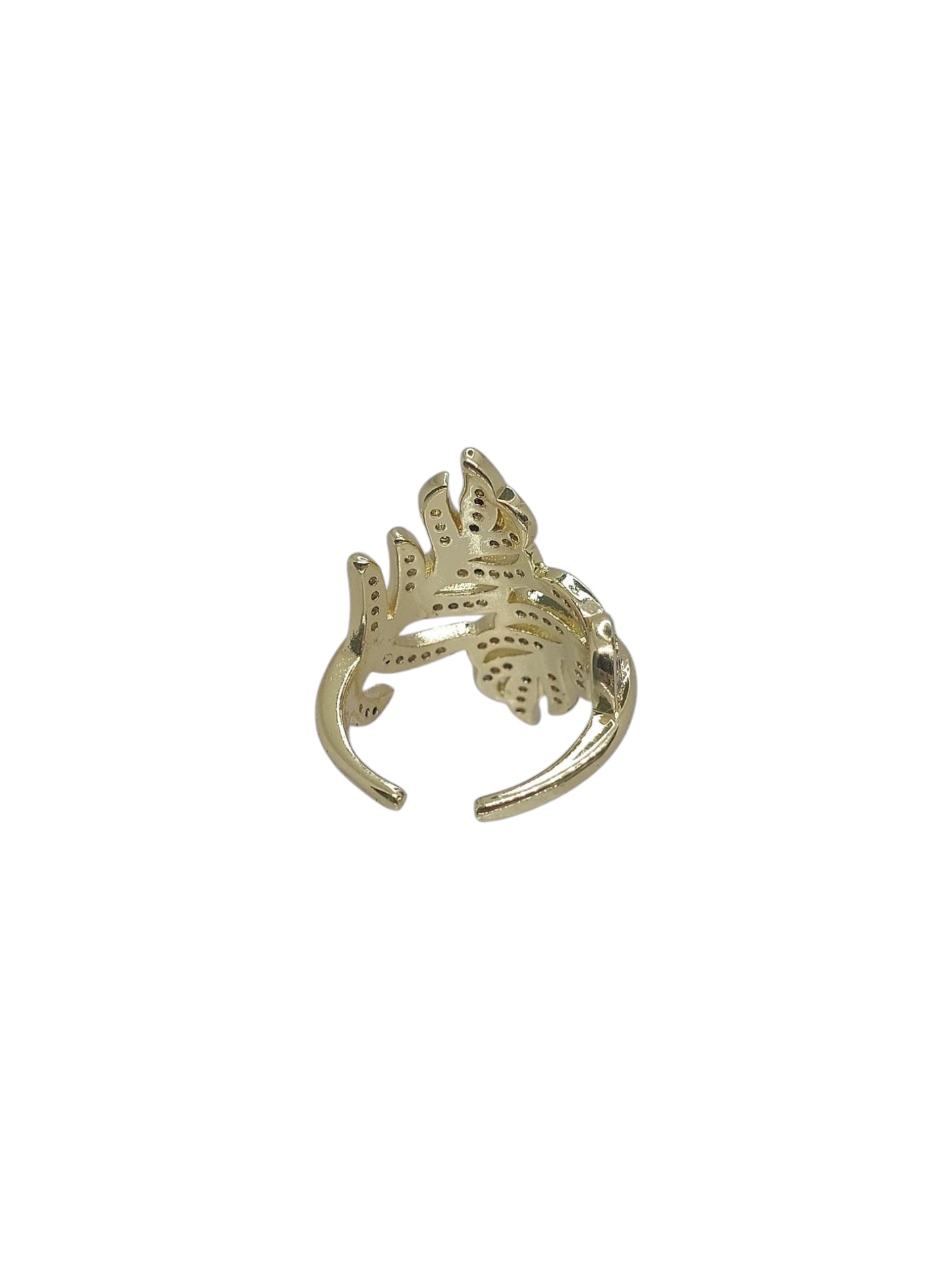 Anello Amazzonia
