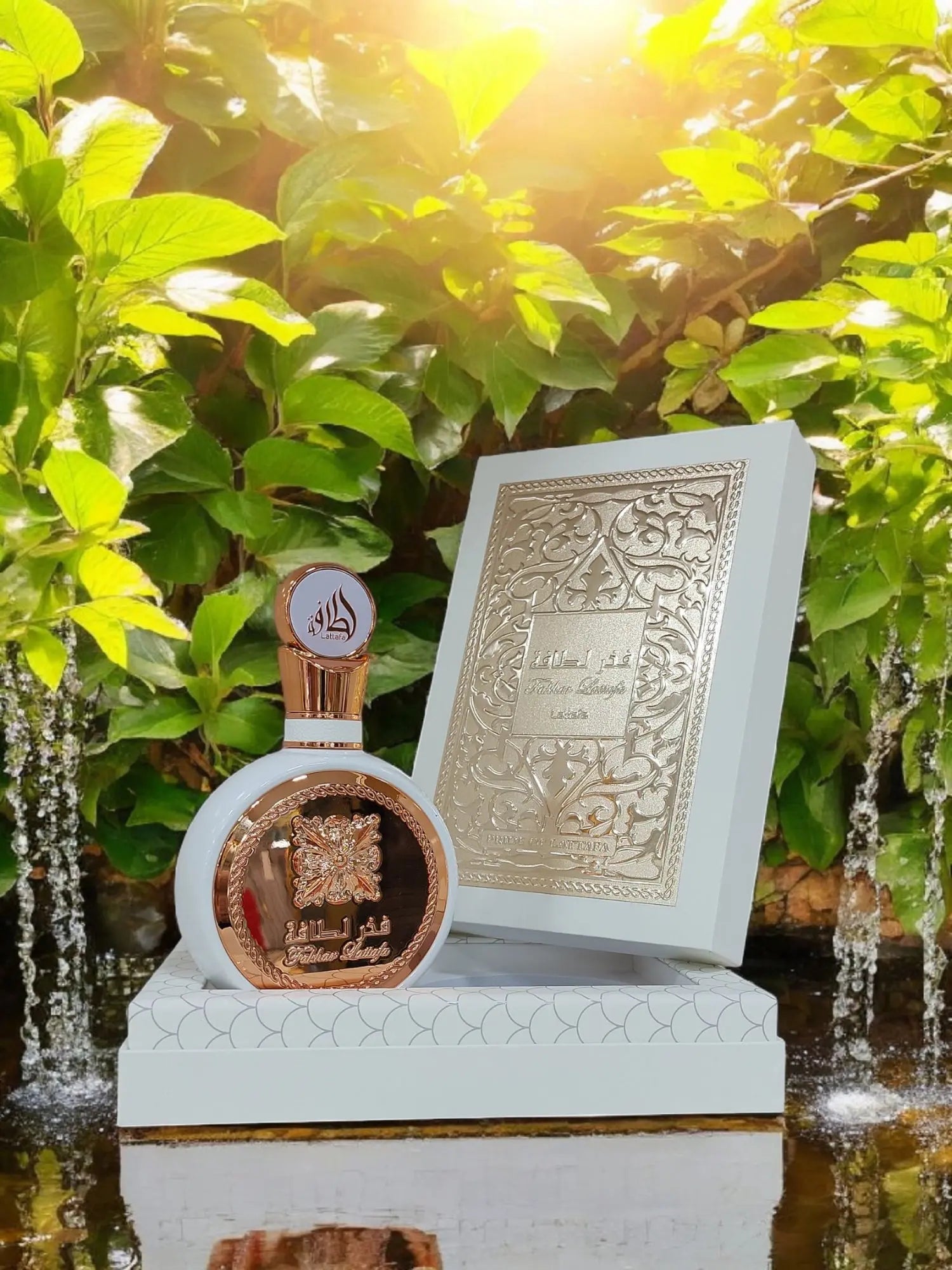 Fakhar Rose Splendi