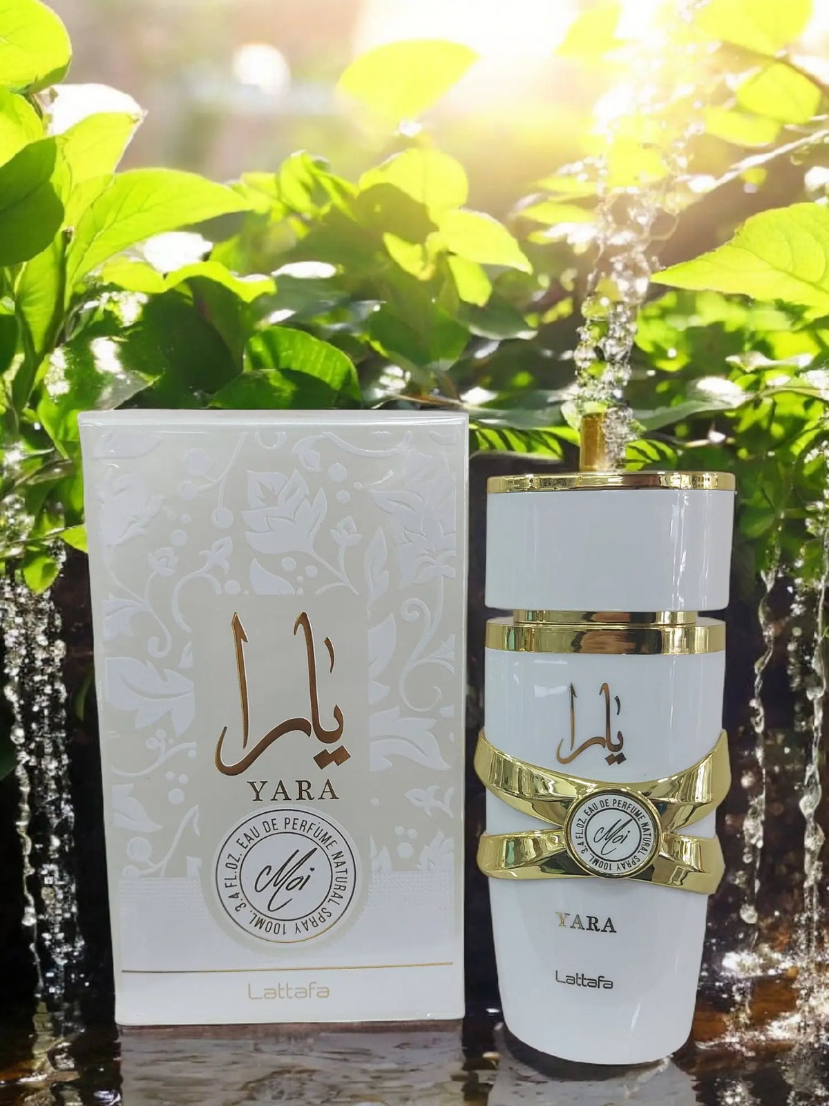 Yara moi Splendi